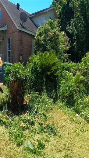 The Community Treats This Insanely Overgrown Yard Like A Complete Dump (Tallest Yard) | Lawn Care USA