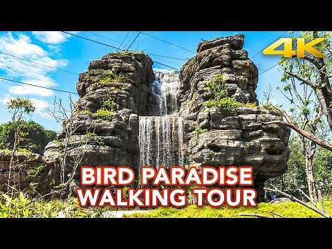 Bird Paradise Singapore: Park Guide, Visitor Tips and Full Day Walking Tour Highlights