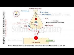 Antidepressant = Mechanism of Action of Antidepressant Drugs | Antidepressant Agent | Antidepressant