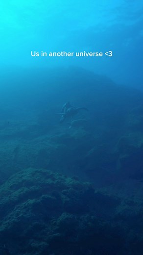 29K views · 418 reactions | I laughed so hard seeing these two turtles mating as it looked like one was just catching a ride on the other. This trend & song immediately popped in my head. Did anyone notice the 3rd chasing behind? In the full length clip you can see the third wheel chases them into the depths. Nautilus Liveaboards  #usinanotheruniverse #turtles #ocean #scubadiving #sea #socorro | Kayleigh Nicole Grant | Facebook