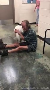 289K reactions · 33K shares | PURE JOY! After certain events in his...