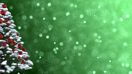 Christmas Tree, Stars, Winter Lights. Free Stock Video