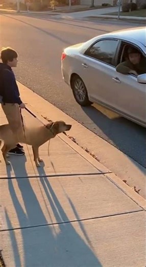 Dog Protects Child from Stranger’s Car — Caught on Security Cam!