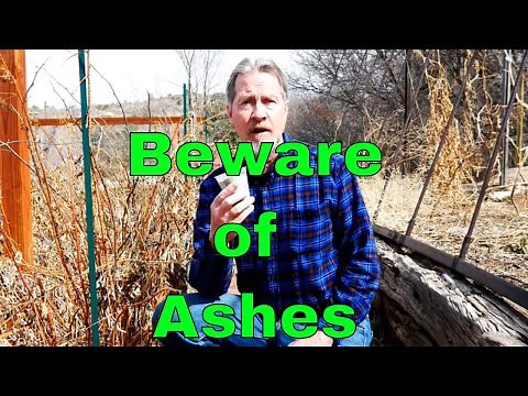 The Problem with Wood Ash in the Garden - It's Not All Good