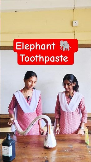 Making Elephant toothpaste 🐘#shorts #science #project