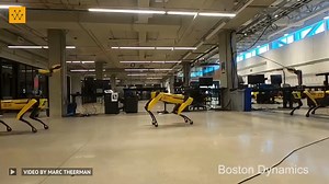 5.6K views · 119 reactions | Exploring multi-robot collaboration in autonomous walking robots. Video Credit: Boston Dynamics/Marc Theerman #robotics #engineering #bostondynamics #robots #technology | Wevolver.com | Facebook