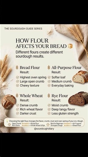 Stop Using The Wrong Flour For Your Sourdough