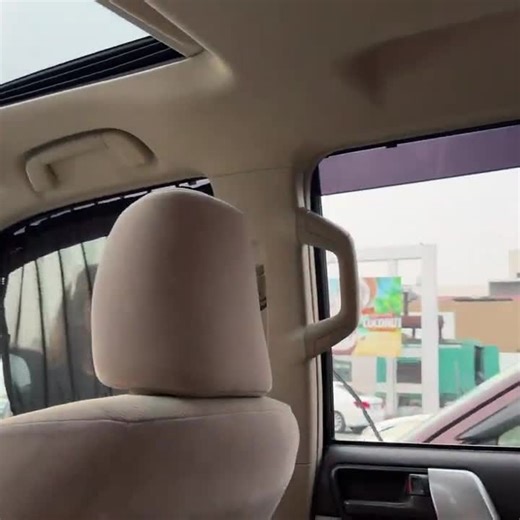 Zulqarnain Sikandar Daily Vlog Highlights