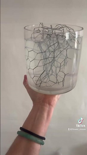 Hardware Chicken Wire