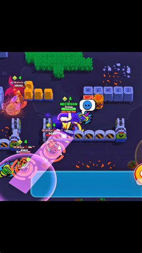 What Do You Think About the New Bull 🤔