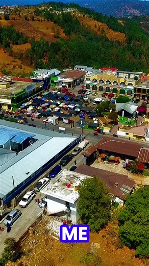 Empezando a Colorear: Un Programa en VIVO