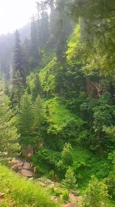 Beautiful scenery view | Mountains View