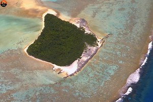 204K views · 5.1K reactions | Man" Woman Wild Part 13 [ हिन्दी डॉक्यूमेंट्री ] #wildlife #nature #fishing #discovery #discoverychannel #jungle Survivals World Wilds Earth Tv | Beyond The Wild | Facebook