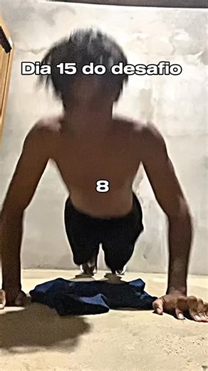 Marombinha - Calistenia on Instagram: "Dia 15 do desafio uma flexão a mais a cada dia até terminar o ano… #shape #calistenics #motivação #calisténicos #motivation"