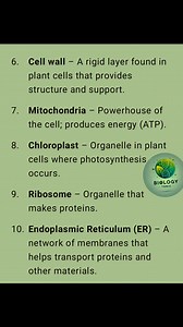 Cell Biology vocabularies @topfans #MolecularBiology | Biology Tonic