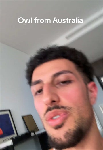 Impression of an Australian Owl