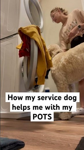 How my service dog helps my POTS #potssyndrome #servicedog