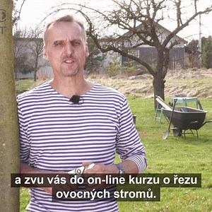 🌳 🌸 Objevte NEJprodávanější kurz péče o ovocné stromy od A do Z 😍 Vyzkoušejte si 4 lekce ZDARMA 👉 bit.ly/pece_o_stromy | Kurzy pro radost