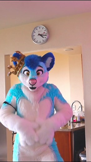 Funny Husky Finds Food Stash!