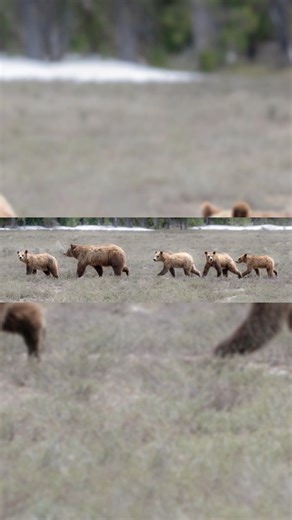 26K views · 2.3K reactions | One of my favorite videos of 399 and the Quads and a panorama from 2021. | Savannah Rose | Facebook