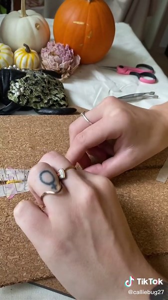 Adorable Rosy Maple Moth Pinning Process