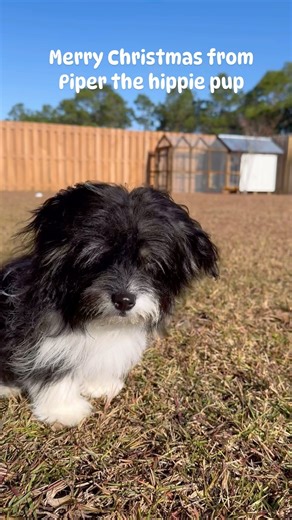 Diggin that sun tho | Panama City Beach Surf | Facebook