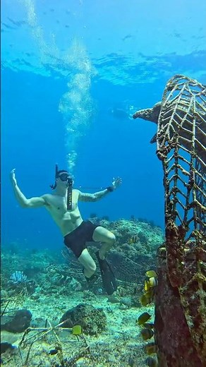 Breathe underwater with the mini Lung Tank 🤿 #fyp #lungtank #lung #miniscubatank #water #snorkeling