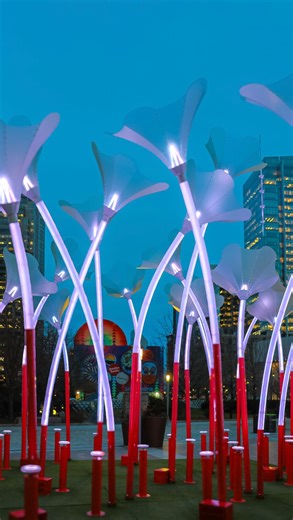 Rose Kennedy Greenway on Instagram: "WINTERACTIVE returns to The Greenway! We are so excited to host “Trumpet Flowers” this year, which is one of the installations in @downtownbostonalliance ‘s 2026 WINTERACTIVE art exhibition! ✨ From January through March 2026, Dewey Square will bloom with “Trumpet Flowers”, a luminous art installation by design studio Amigo & Amigo (@amigoandamigo) as part of Downtown Boston Alliance’s annual WINTERACTIVE Winter Art Exhibition. 🎺🌸 🎵 Sponsored by @downtownbo