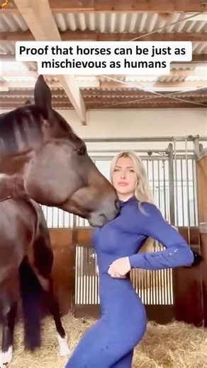 This is what unconditional love looks like❤️#fyp #horse #horseontiktok #love #animalslover