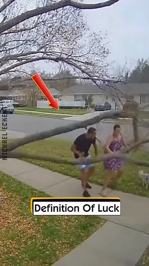 Definition Of Luck | Michael Eckert