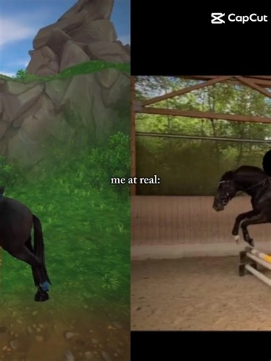 😍 #sso #springen #pferd