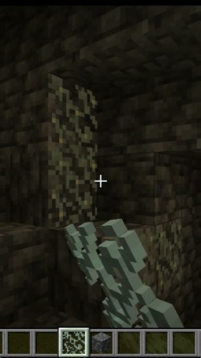 🔥 I Tried Becoming a MINECRAFT DEVELOPER... It Actually Worked?! 😱