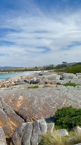 Binalong Bay is the perfect base to explore the Bay of Fires. 🏖️ 🔥 🌊 Renowned for its crystal clear azure water, stretches of pure white sand beaches and burnt orange lichen covered granite boulders; this is arguably one of the most beautiful parts of Tasmania. 🤩❤️🤩 Karen, Marley and myself had a wonderful day at Binalong Bay and we believe that you will understand why when you watch our reel of this very special location. 🐕😃😃 🇦🇺 ❤️ #Travel #Over50 #Australia #Tasmania #RoadTrip #Binal