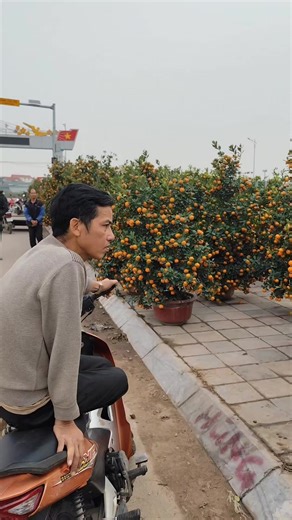 Video của Đặng Văn Hội (@dangvanhoi.1976) với bản nhạc nhạc nền - A͙T͙Q͙ Tin Tức Ngầm