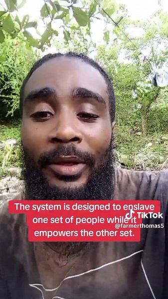 Understanding Sheep Behavior and Their Responses