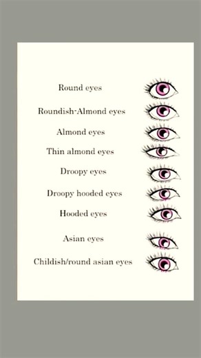 Types of Eyes