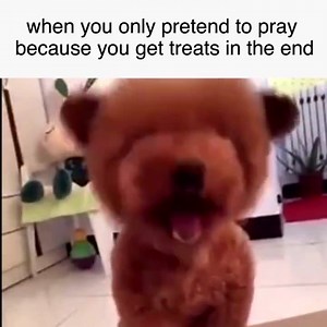 We're all...living on a prayer~ | Distractify