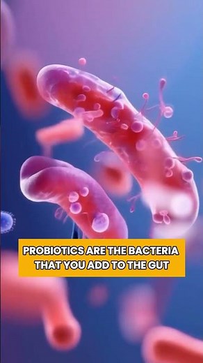 Gut Health 101: Probiotics vs. Prebiotics Explained