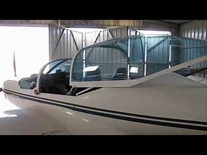 Fly Synthesis Texan LSA Aircraft