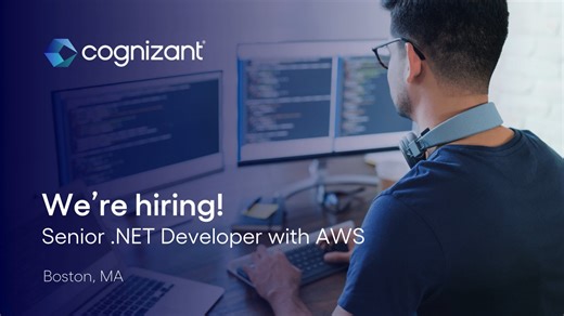Senior .NET Developer with AWS