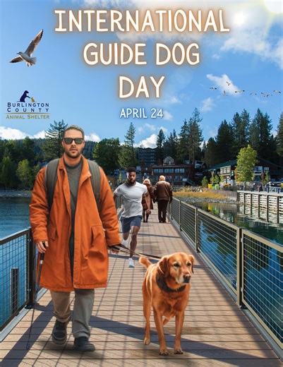 瑩It's International Guide Dog Day‼ 瑩 This day commemorates the...