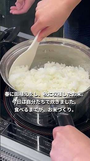 田植えから、いただきますまで 【お米づくり】【ＪＡ今金町食育授業】 #Shorts