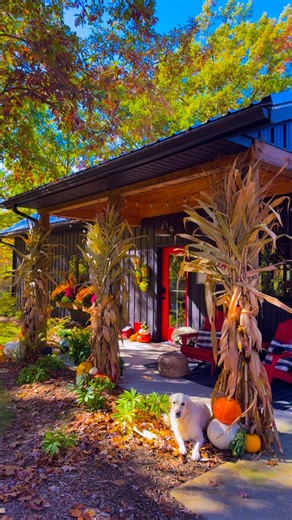 🪴TRACY~home & garden on Instagram: "This is our last fall at the cabin. We have sold it and started a new build about 5 miles down the road. Bittersweet for sure. Northern Michigan in the fall is amazing, couldn’t resist decorating one more Fall porch here at our little cabin in the woods! We will miss it for sure, so many amazing memories. Looking forward to making new ones at the lake though! ~Who’s been keeping up on the progress over there?! I saved a highlight entitled “Lake build”, if ya 