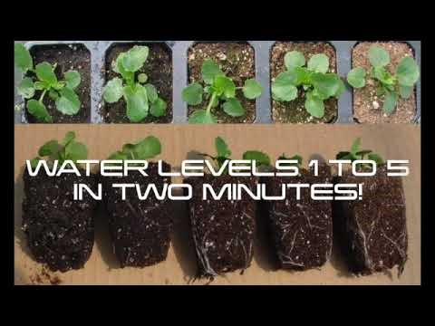 Understanding Water Levels 1 to 5