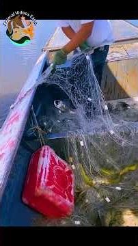 Massive River Haul with Drag Net – Tons of Fish Caught! 🎣🐟 #Shorts