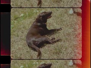 16mm Test Film - CP-16 - Kodak Vision3 250D