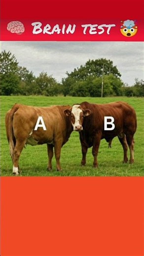 Memory Test || 99%fail #trending #braingames