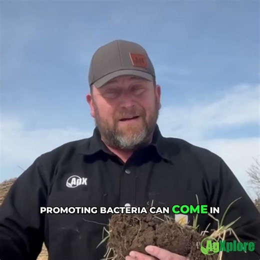 How Soil Bacteria Unlock Phosphorus and Potassium | Making Bound Nutrients Available