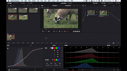10分钟学会如何制作Cube文件并导入ARRI摄影机