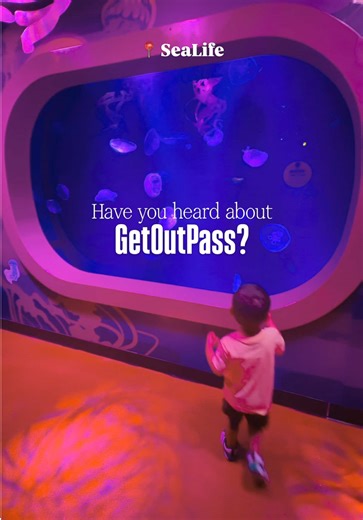 If you’re always looking for things to do with kids, you NEED to know about the GetOutPass. 🎟️ It gives you access to tons of family-friendly fun & using my code HAYRODLIFE gets you the best deal. Save this for later! #GetOutPass #FamilyFunForLess #ThingsToDoWithKids #SATXFamilies #SanAntonioKids
